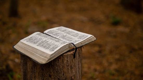 A Bible on a log lies open, illustrating the connection between creation and the Sabbath