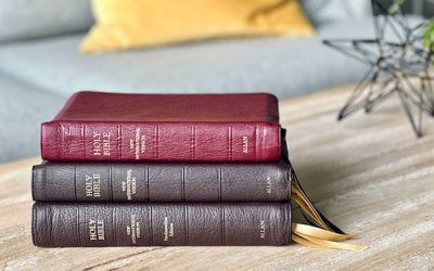 Bible Translations