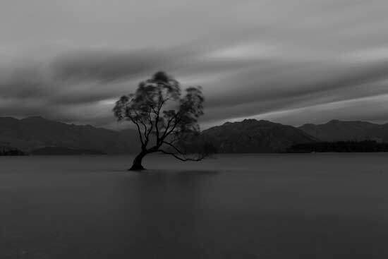 Lone Tree in Water A tree surrounded by water under a dark and stormy sky, representing the flood during the time of Noah