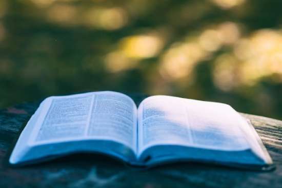 Bible laid open with sunlight toughing it.