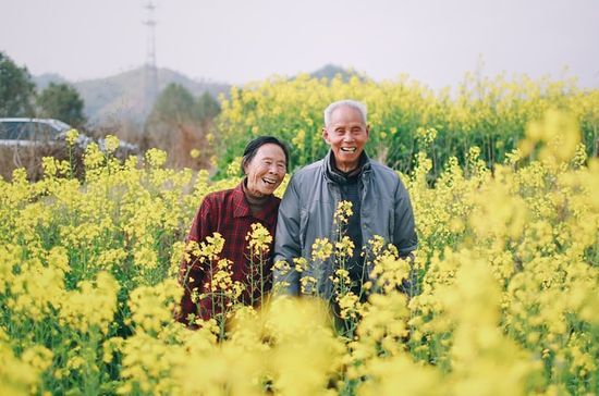 An older Adventist couple standing in a field of yellow flowers and enjoying a healthy life
