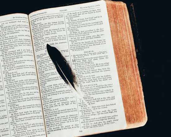 Open Bible with Feather Pen An open Bible with a feather quill resting on its pages.