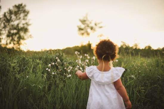 A little girl in a white dress picks flowers in a field, giving a picture of a peaceful life in heaven and on the New Earth.