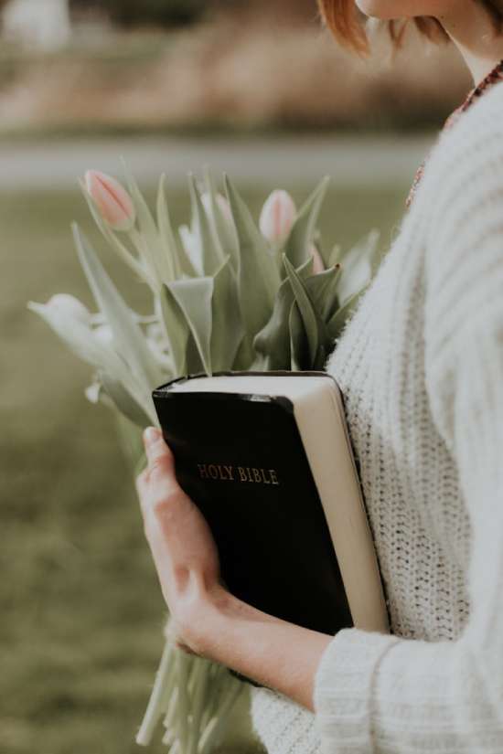 Woman holding Bible close A woman holds a Bible and a bouquet of tulips close.