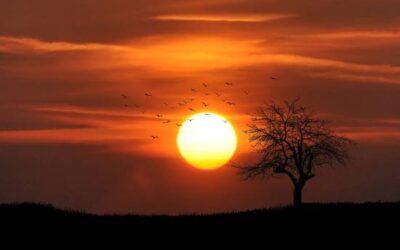 Why is the Sabbath Observed from Sunset to Sunset?