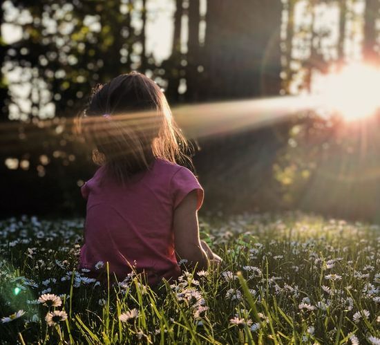 A Child Sitting in a Field of Flowers A child sitting in a field of flowers facing the sun's rays