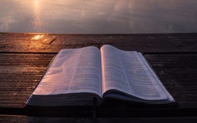 Entendiendo la Profecía en la Biblia