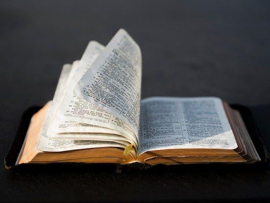 Open Bible Bible open to study the meaning in the book of Daniel about Nebuchadnezzar's dream of a statue