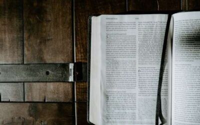 An Overview of Romans: Faith, Righteousness, and Relationships