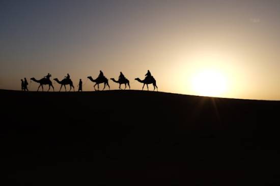 Silhouettes of several magi on camels Silhouettes of people riding camels through a desert, illustrating the magi who traveled far to visit Jesus.