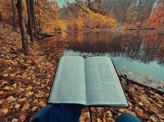 Someone holding an open Bible outdoors surrounded by colorful fall leaves Someone surrounded by colorful leaves reads an open Bible.