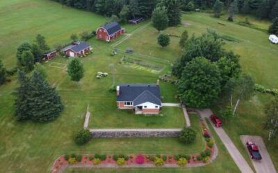 What Are the Benefits of Country Living?