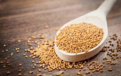 What the Parable of the Mustard Seed is All About