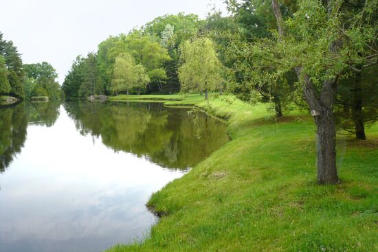 Pool and Greenery A pond surrounded by lush greenery, a small glimpse of the new earth after the thousand years