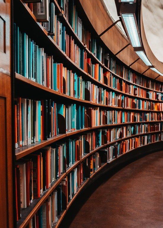 A library shelf full of books
