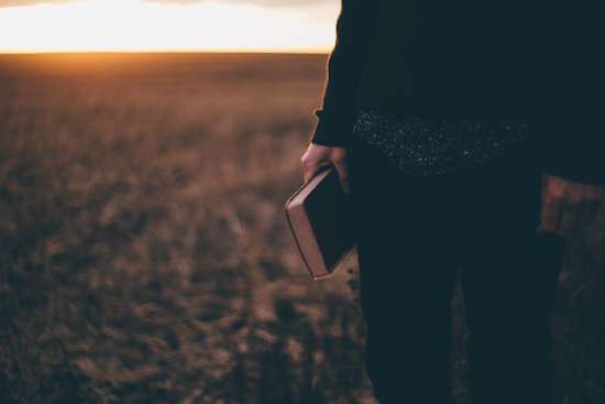 person in a field holding a Bible A man in a field holding a Bible, searching for truth