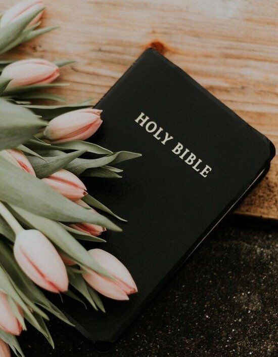black bible with a bouquet of pink tulips The Holy Bible, the ultimate authority for Seventh-day Adventists