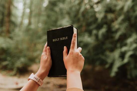 Holding Bible Up. Hands holding up a Bible just as Ellen White encouraged people to turn to the Bible and study it