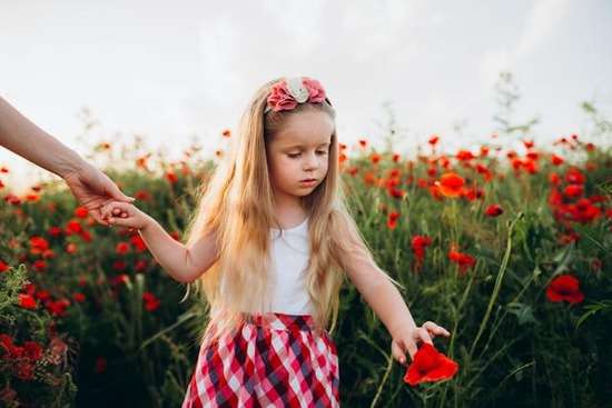 Girl Poppies Peaceful A small girl holding onto her mother's hand as she walks through a field of red poppies