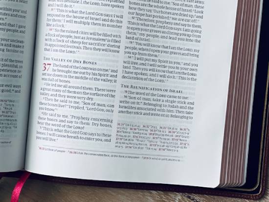 A Bible opened to the story of the prophetic vision of the valley of dry bones