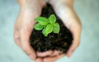 What Seventh-day Adventists Believe About Growing in Christ