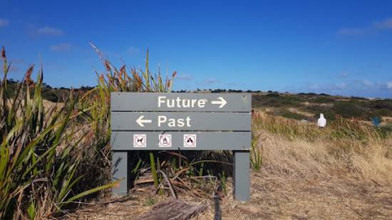 Wooden sign that says "future" and "past" with arrows pointing to the right and the left A sign on the beach pointing towards the past and the future