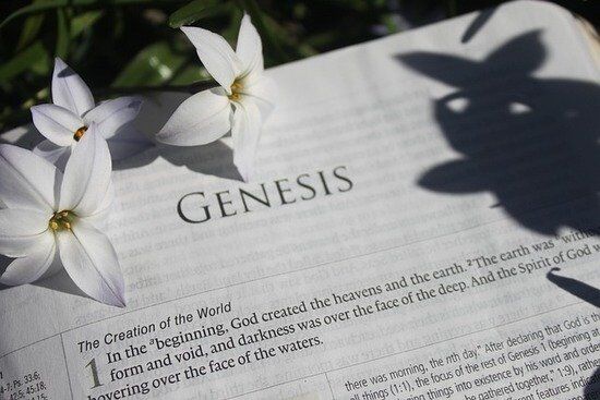 Bible Open to Genesis A Bible open to Genesis, the book that provides us with the story of our origins