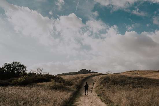 Man on Path A man on a dirt pathway through a field