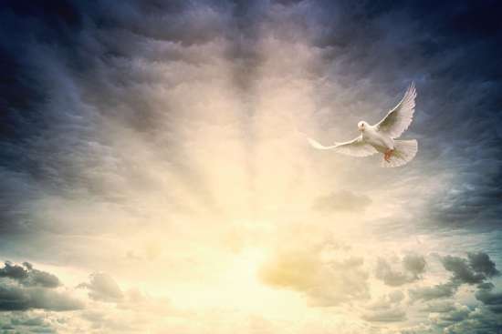 A Flying Dove A dove, like the one that appeared to Jesus at His baptism, flies over a cloudy sky at sunrise.