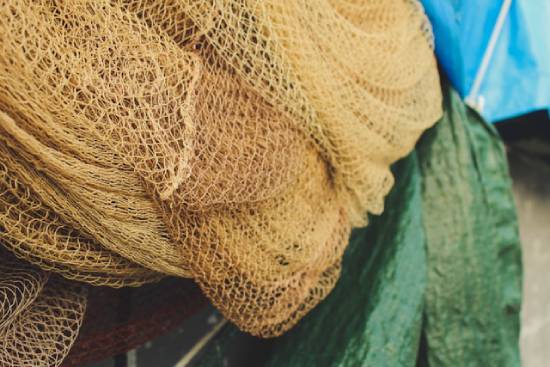 A fishing net