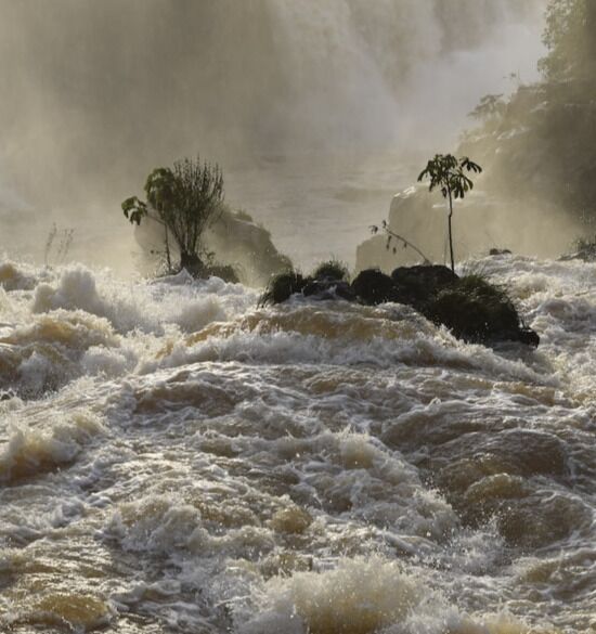 Flooding Waters A picture of major flooding, representing God's instructions to Noah about flesh meat after the flood