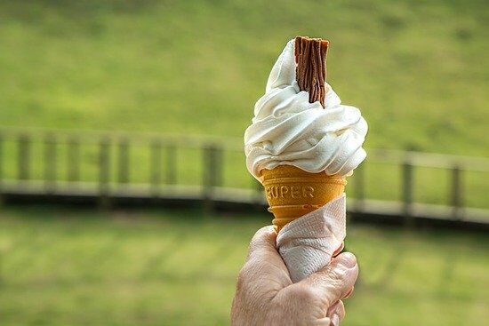 Ice cream A hand holding an ice cream cone, a food that requires self-control