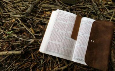 What Seventh-day Adventists Believe About Spiritual Gifts in the Bible