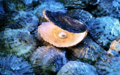 What Does the Parable of the Pearl of Great Price Mean?