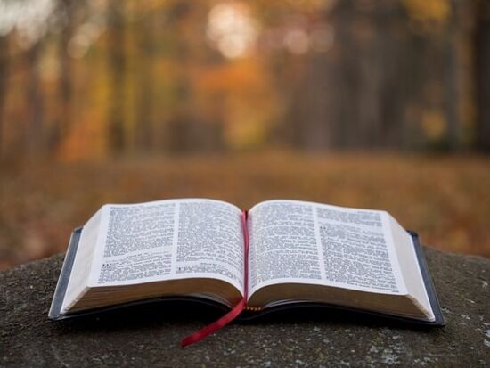 An open Bible on gray An open Bible on a rock