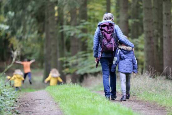 A mother walking with her young children on a hike through the forest.