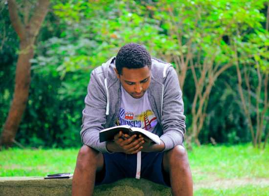 A man on a park bench reads the Bible.