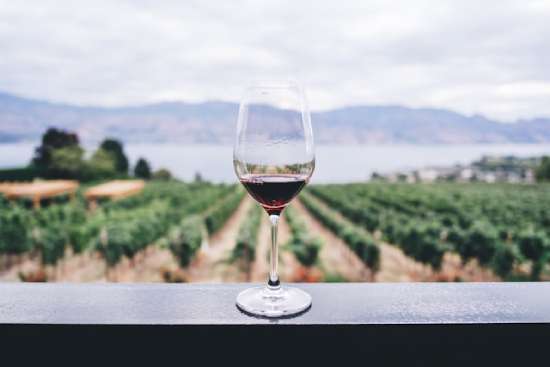 Wine glass in a vineyard A glass of wine set on a railing overlooking a vineyard and a lake